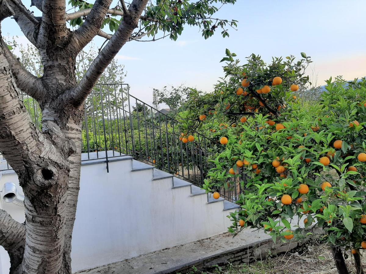 Villa Zagara Mascali Exterior foto